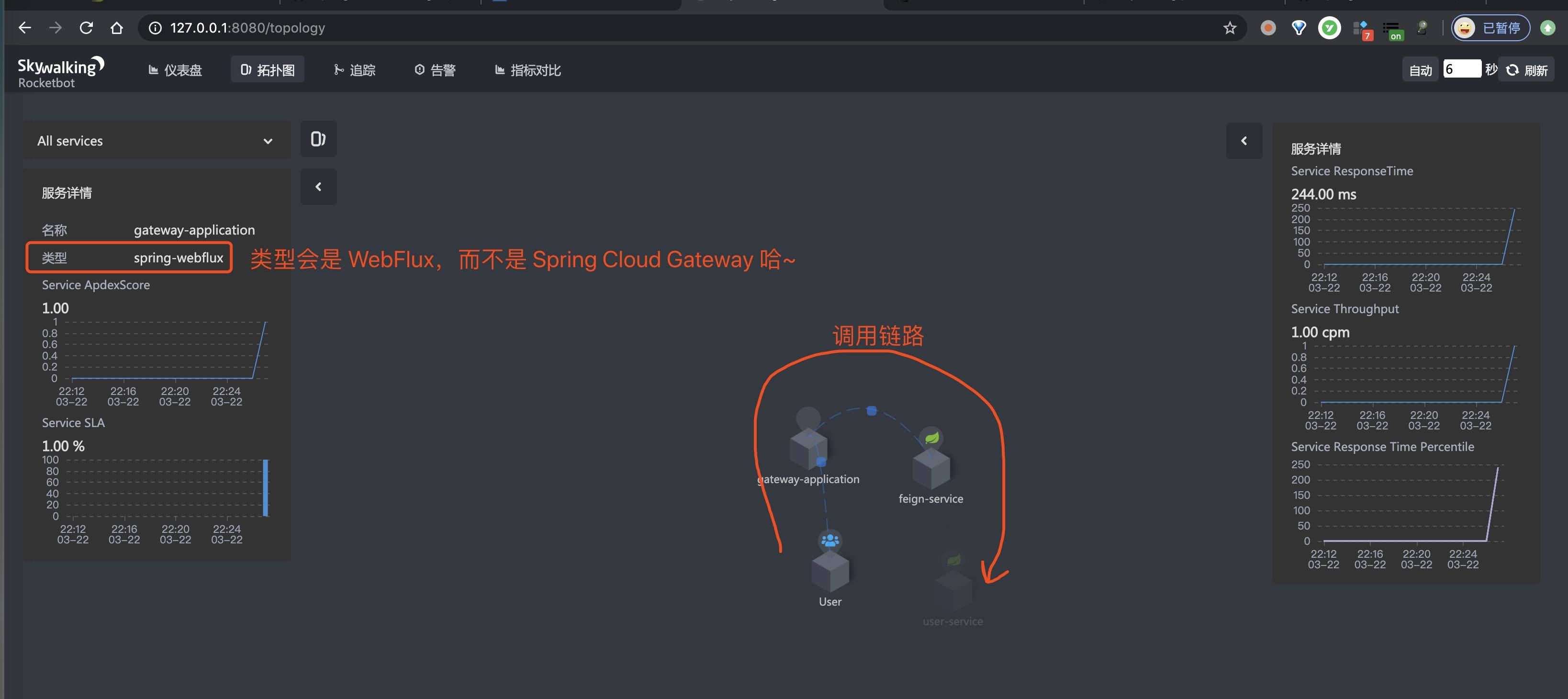 SkyWalking UI 界面 —— 拓扑图